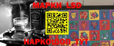 гидра Будённовск