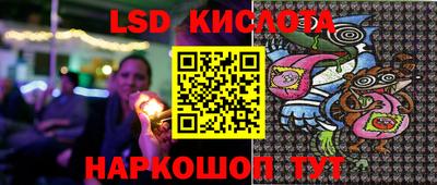 гидра Будённовск