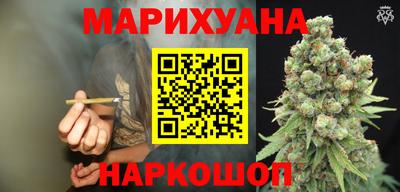 гидра Будённовск