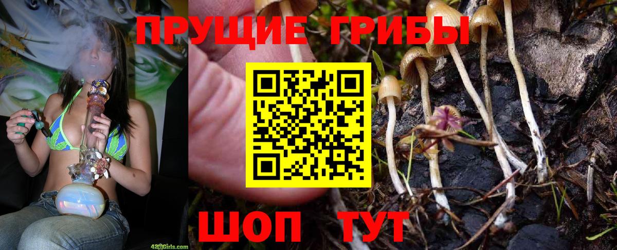 Псилоцибиновые грибы Psilocybine cubensis  Вход с VPN  Лабытнанги 